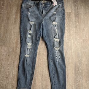 Torrid Premium Distressed Skinny Jean
